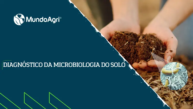 Diagnóstico da Microbiologia do Solo - Mundo Agri