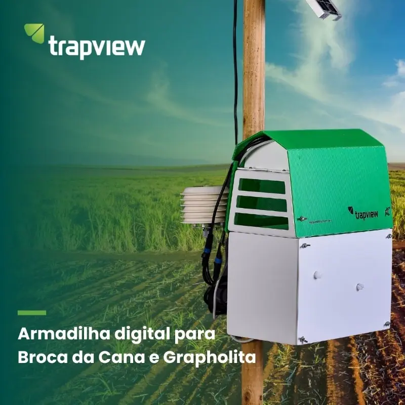 Armadilha digital  - Broca da Cana e Grapholita