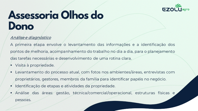 Assessoria Olhos do Dono - 4