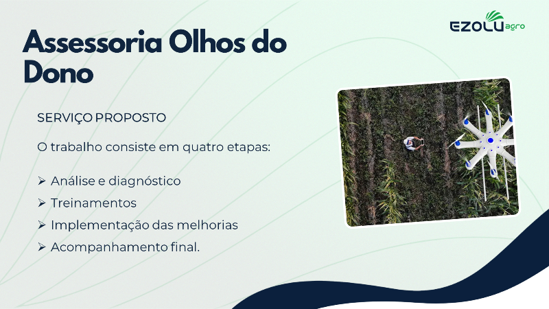 Assessoria Olhos do Dono - 3
