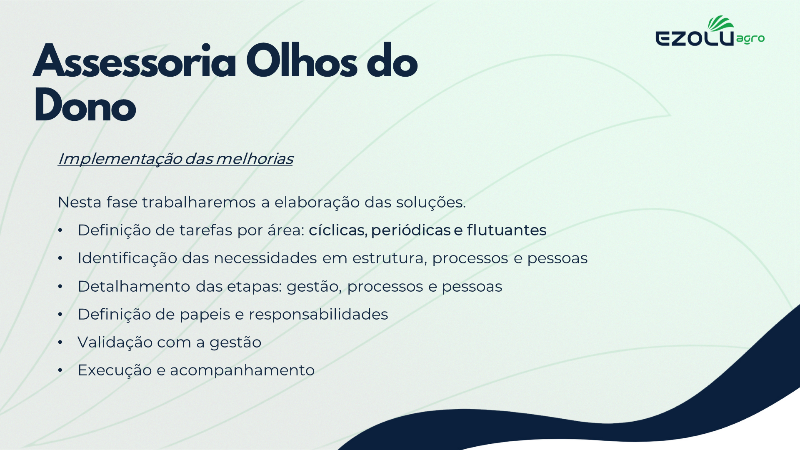 Assessoria Olhos do Dono - 6