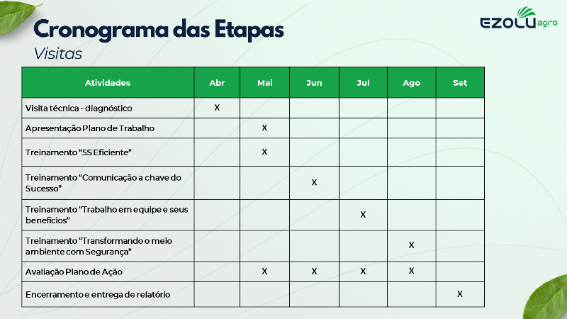 Assessoria Olhos do Dono - 7