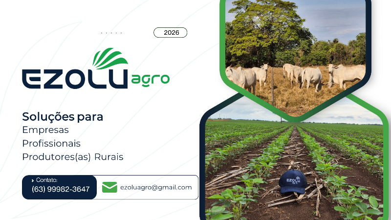 Assessoria Olhos do Dono