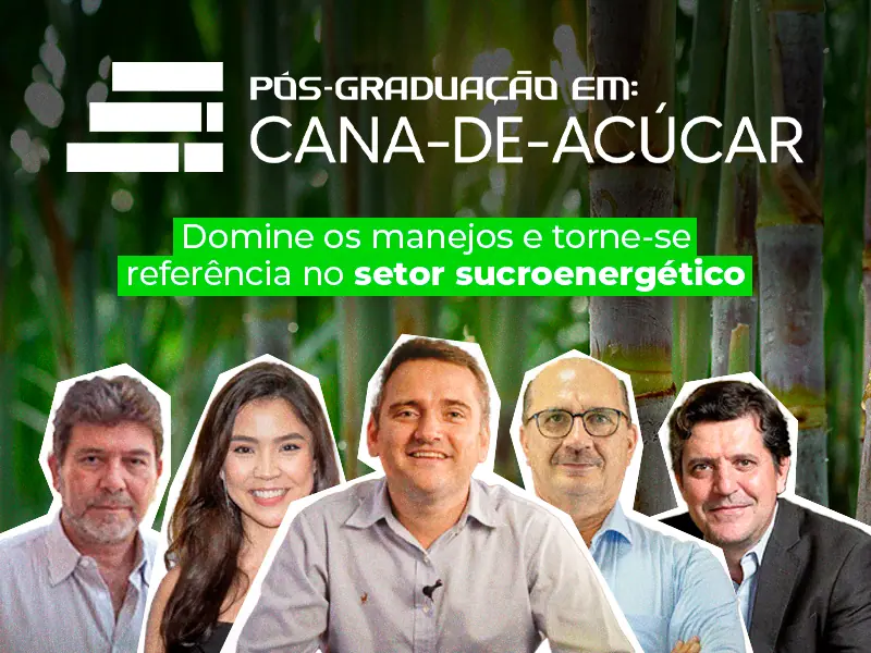 Pós-Graduação em Cana-de-Açúcar