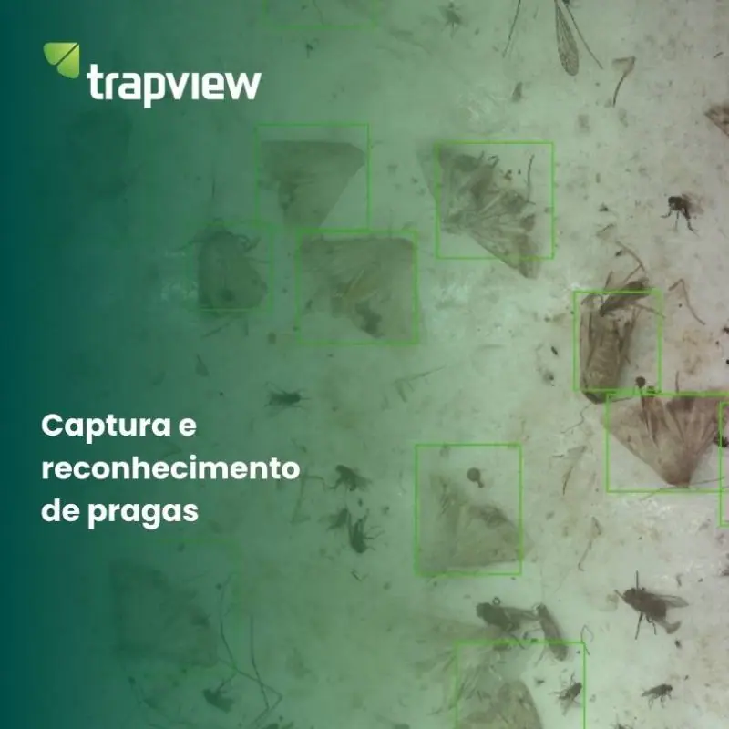 Kit de monitoramento de milho - 6