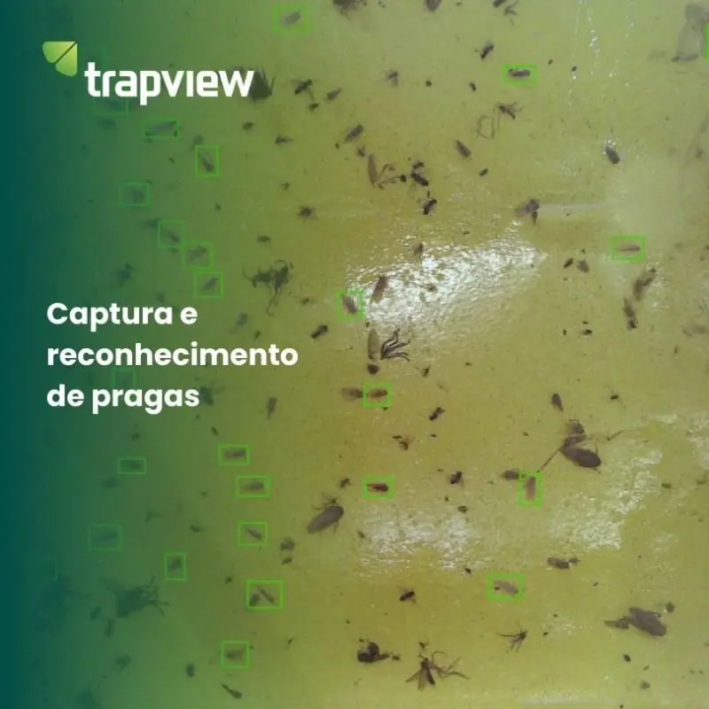 Kit de monitoramento de milho - 3