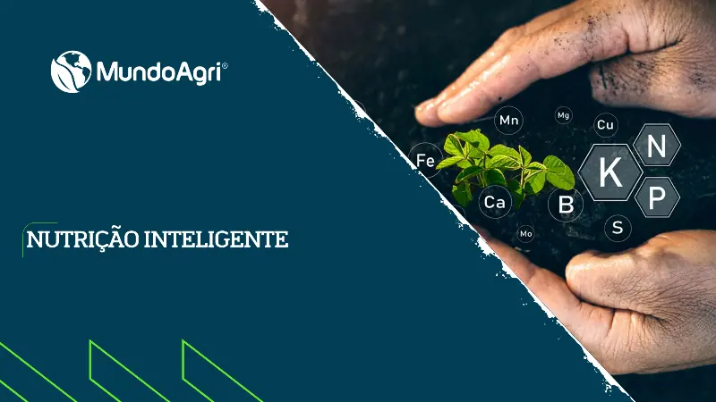 Nutrição Inteligente