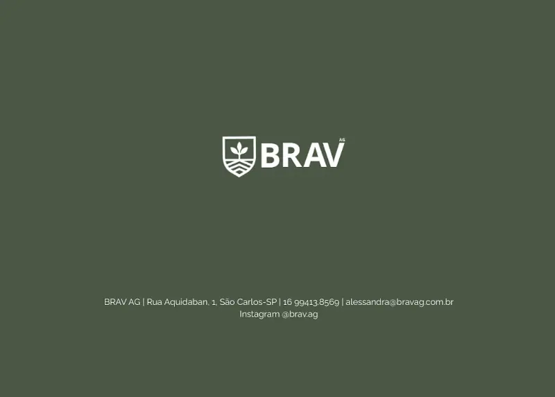 Palestra Cenários e Tendências no Agronegócio BRAV AG - 1