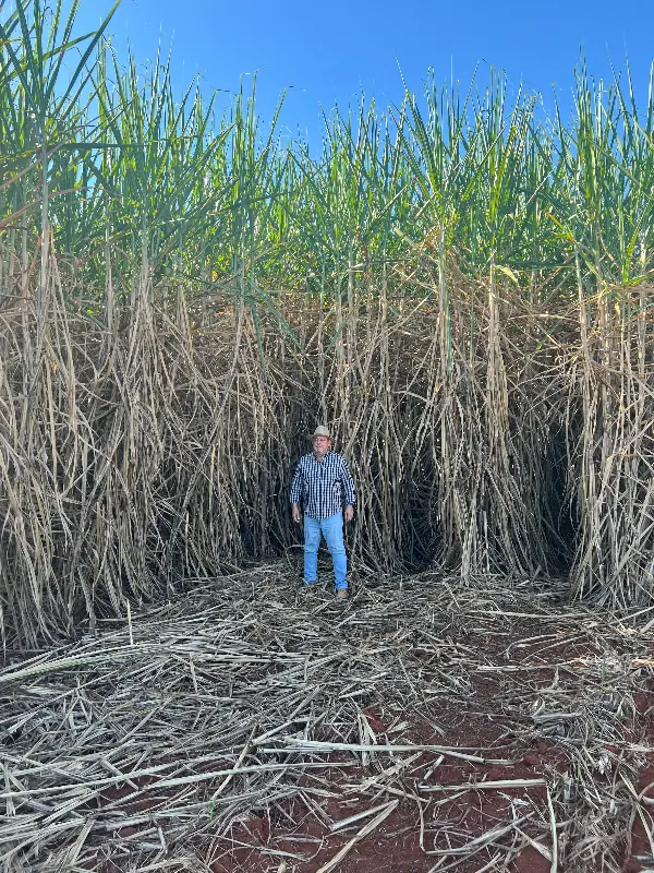 Agroespecialista - Prof. Dr. Pedro Henrique de Cerqueira Luz - 5