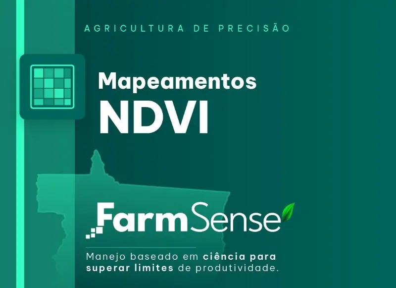 Mapeamentos NDVI
