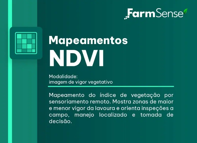 Mapeamentos NDVI - 1