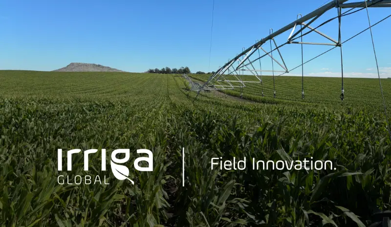 Manejo de Irrigação Sem Estação de Campo - 2