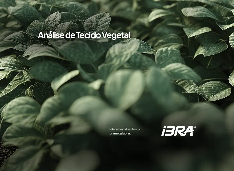Análise de Tecido Vegetal - IBRA - 1