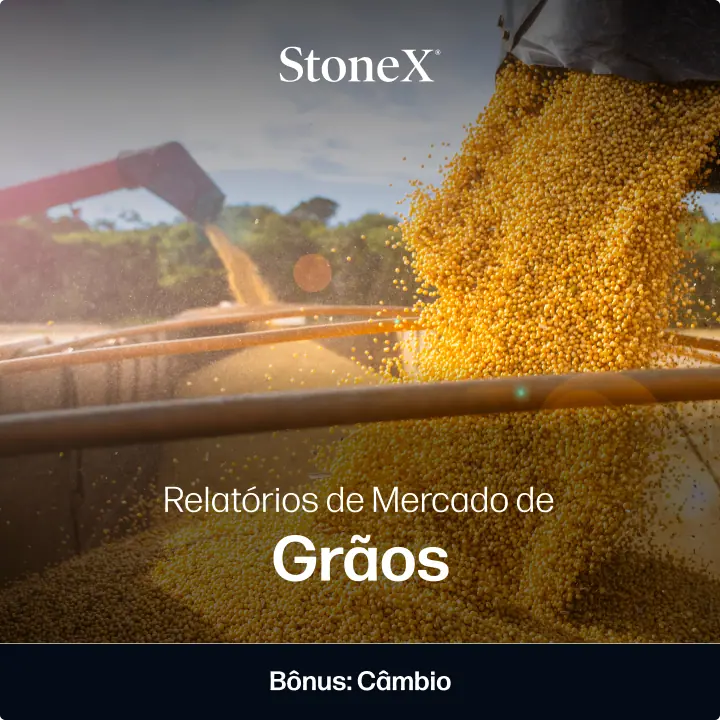 Relatórios de Mercado de Grãos | StoneX