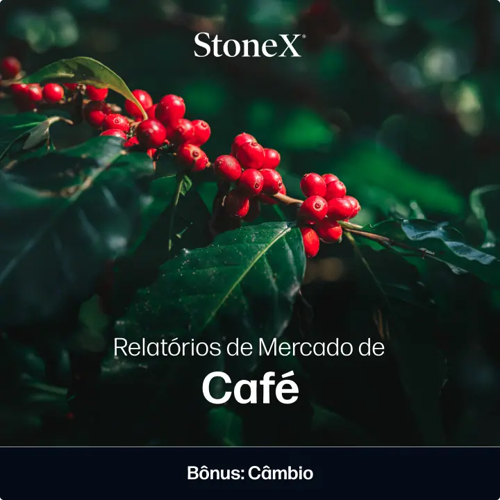 Relatórios de Mercado de Café | StoneX