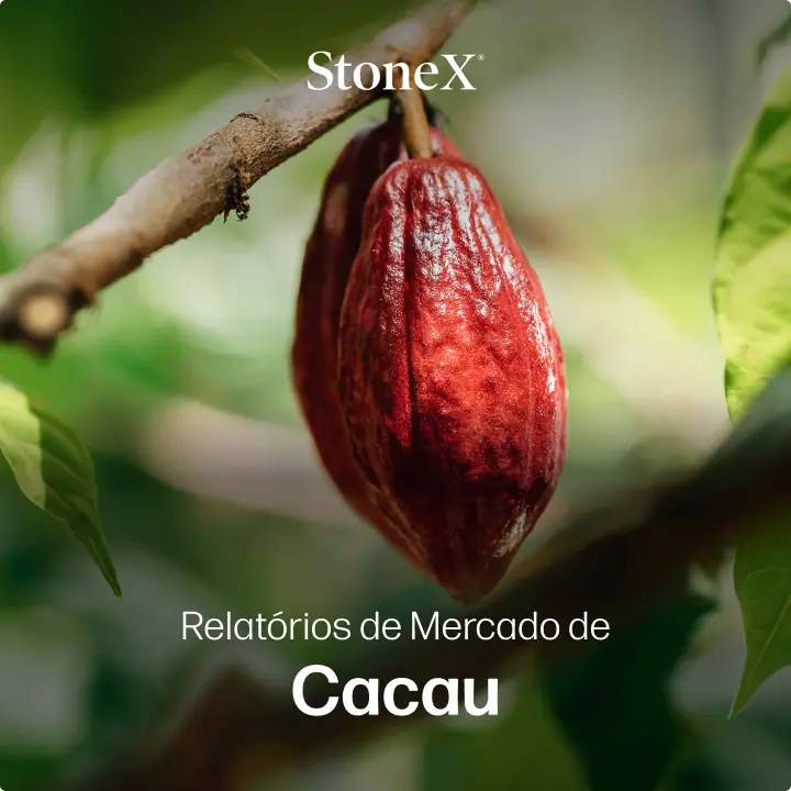 Relatórios de Mercado de Cacau | StoneX