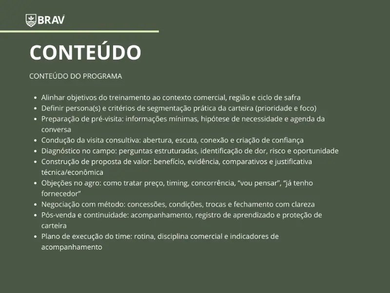 Treinamento Vendas Consultivas BRAV AG - 2