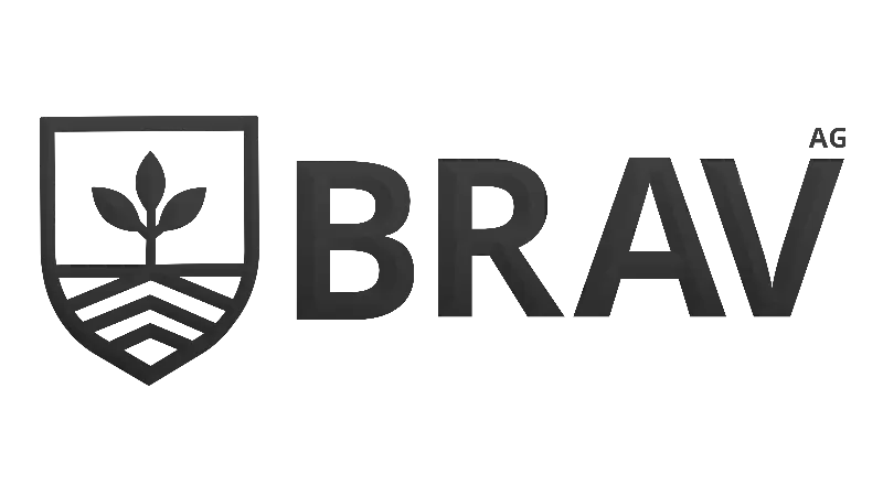 Treinamento Vendas Consultivas BRAV AG - 5